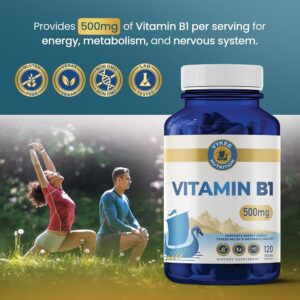 I Blamed My 3 P.M. Crash on Everything but the Vitamin That Actually Turns Food Into Energy