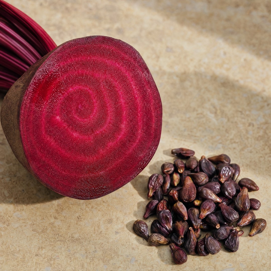 Beet root cross-section and grape seeds