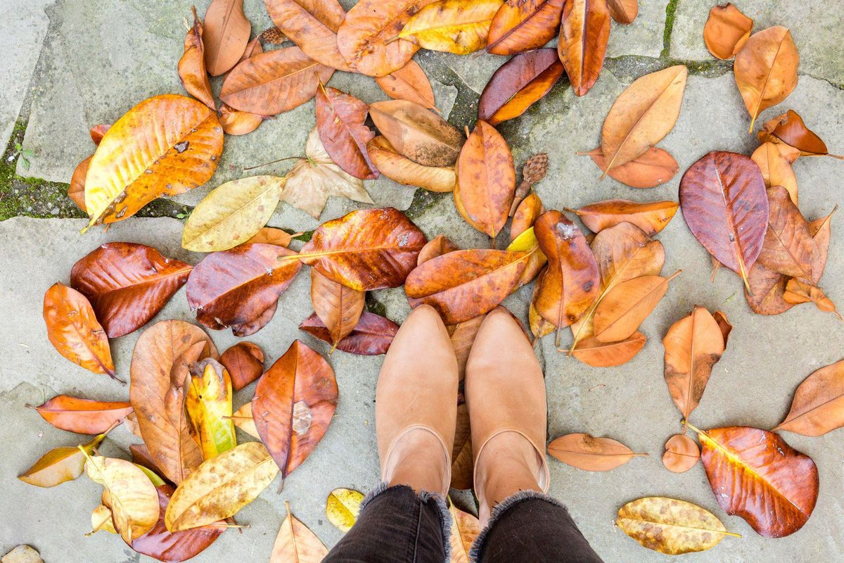 18 Places To See *Gorgeous* Fall Foliage