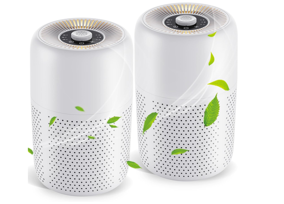 2-Pack TPLMB Air Purifiers for Bedroom