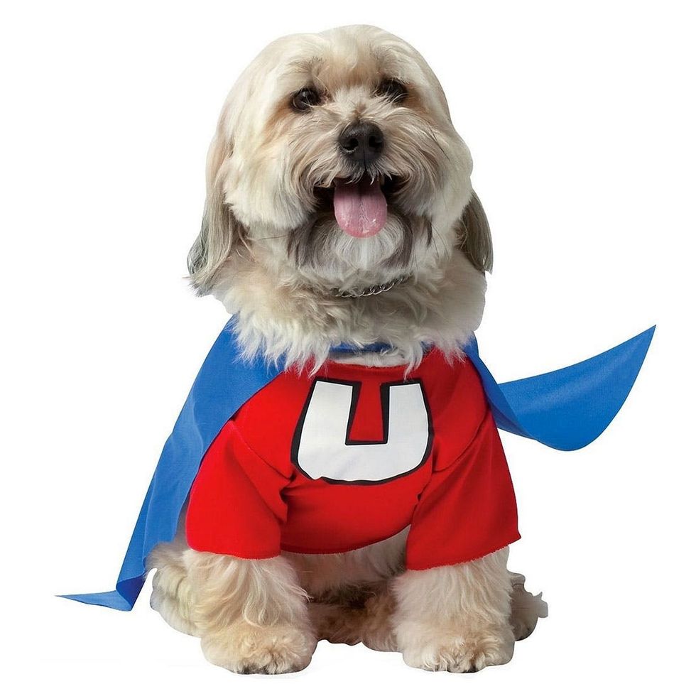20-Underdog-Dog-Costume