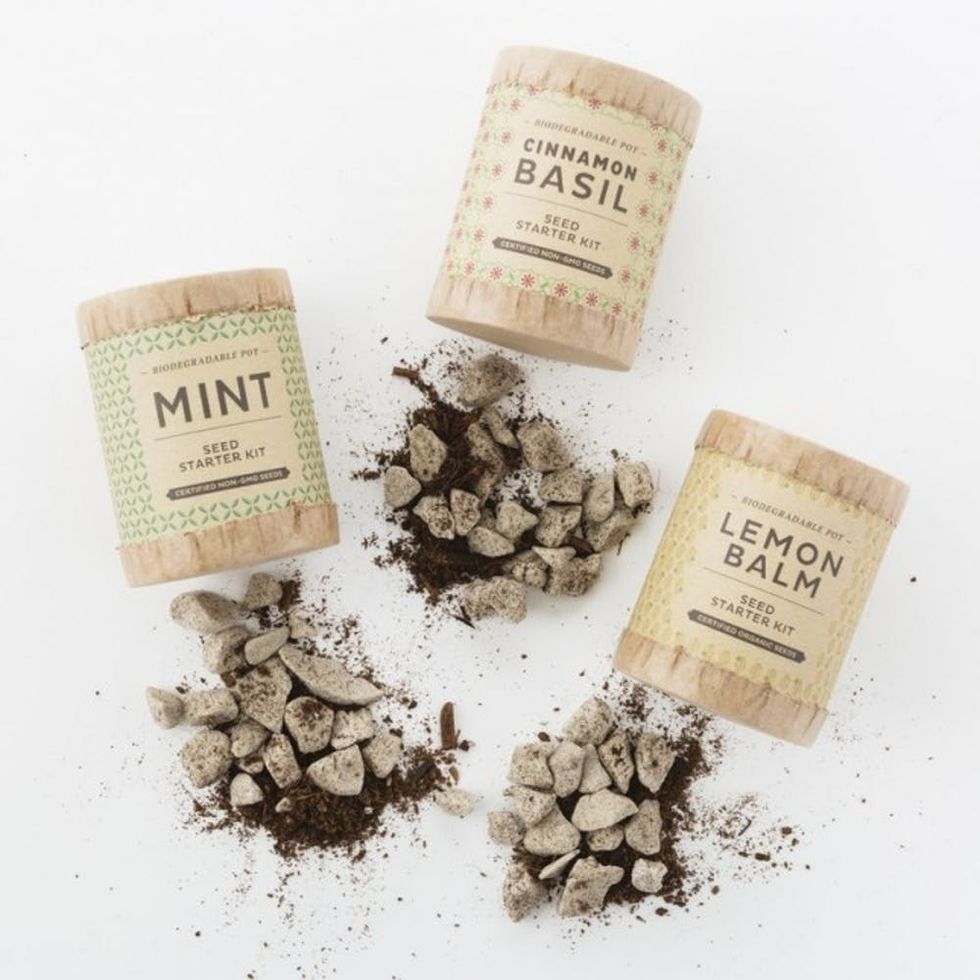 20151119_Marketplace0893