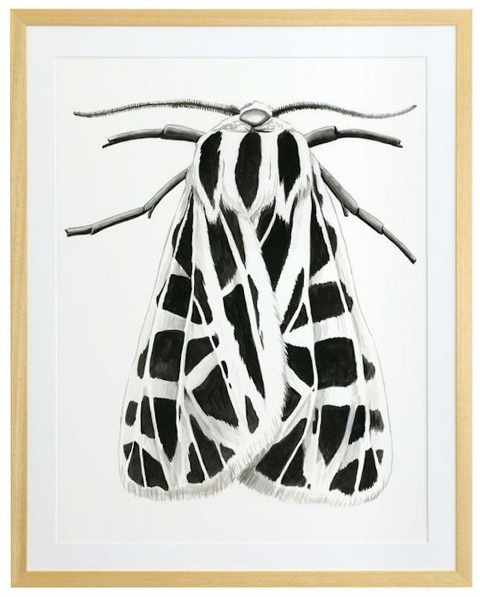 3d600e43d9d37e5544b8db974e204cd2