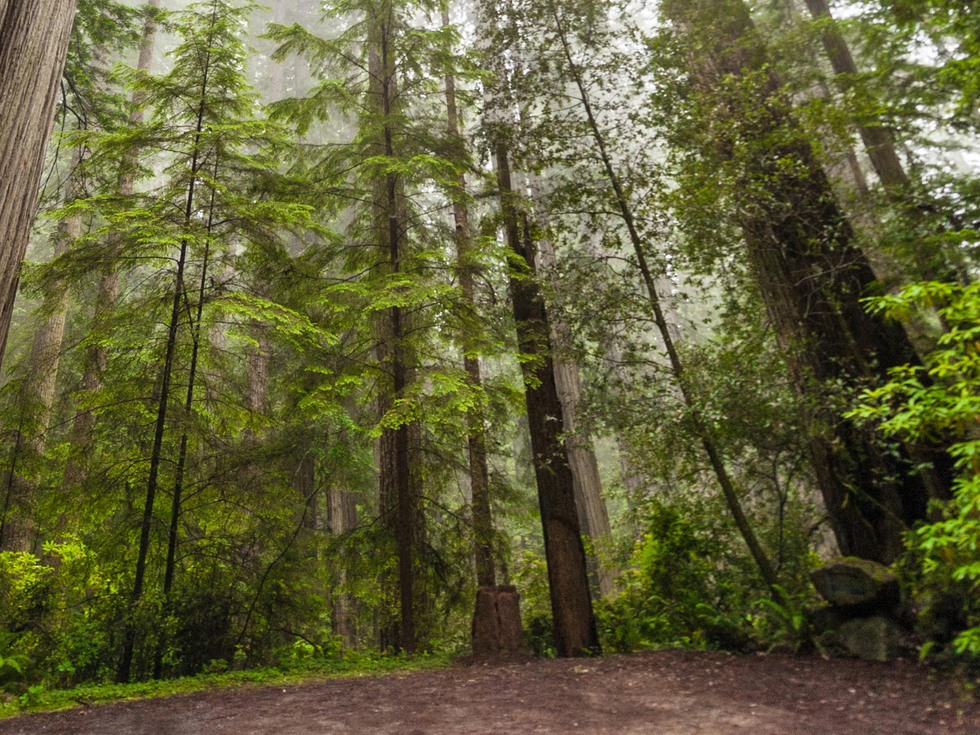 4. Be patient and respectful.