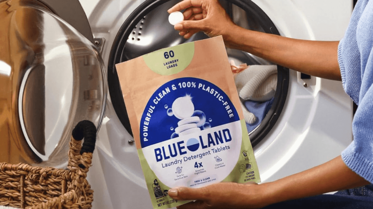 6 Best Non-Toxic Cleaning Products To Use For A Spring Reset