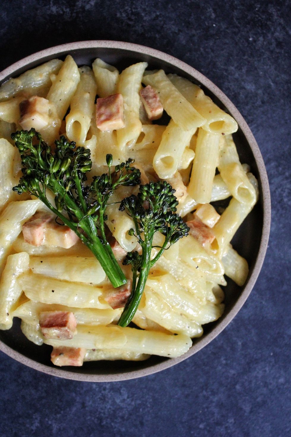A bowl of cheesy vegan penne alfredo is garnished with roasted broccolini.
