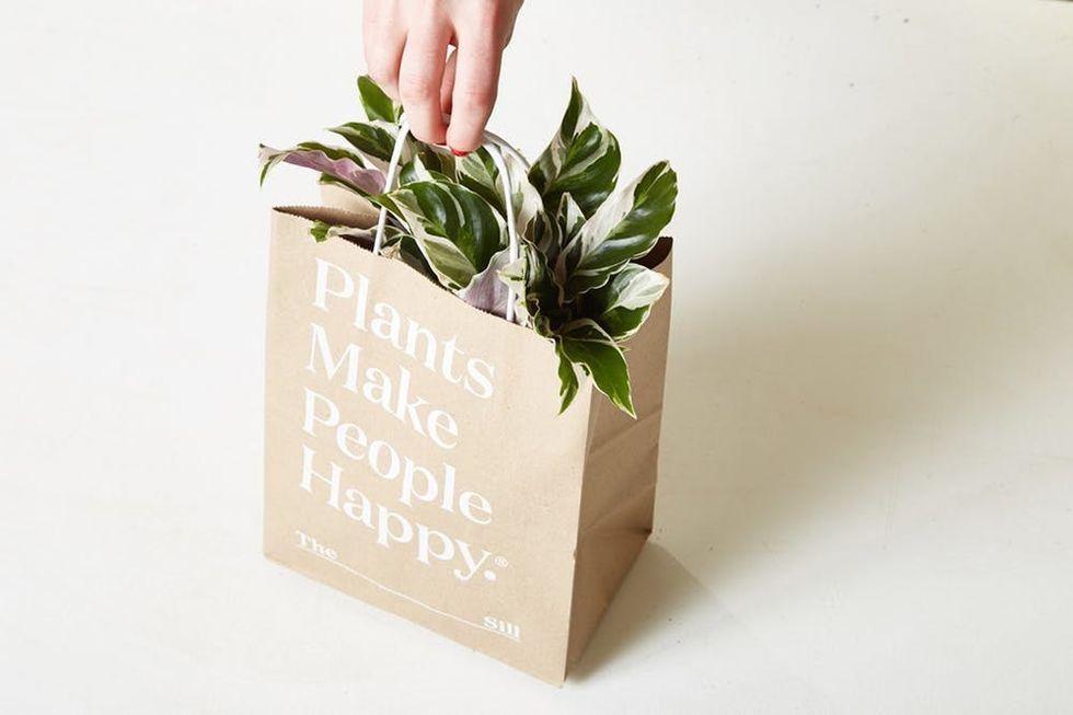 A brown paper bag reading \u201cPlants make people happy\u201d with a houseplant inside.