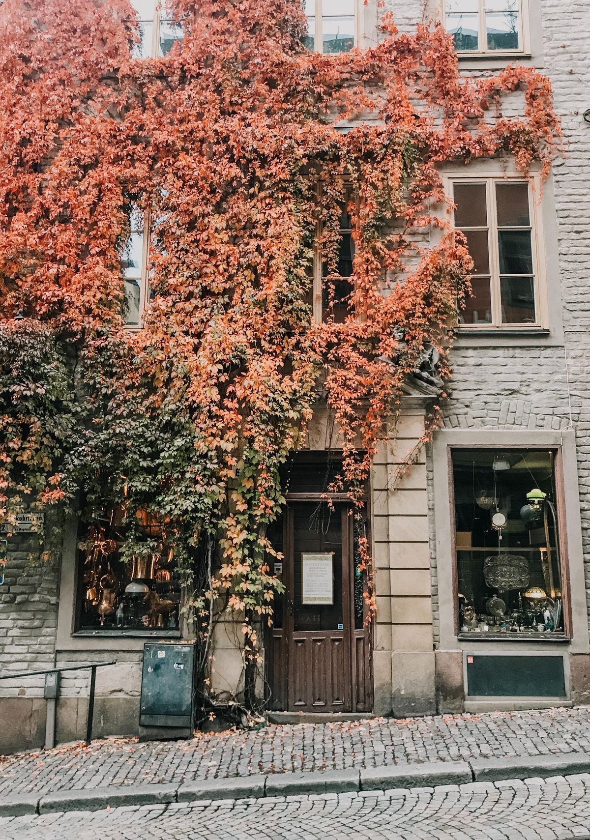 A building covered in fall leaves on a cobblestone street.