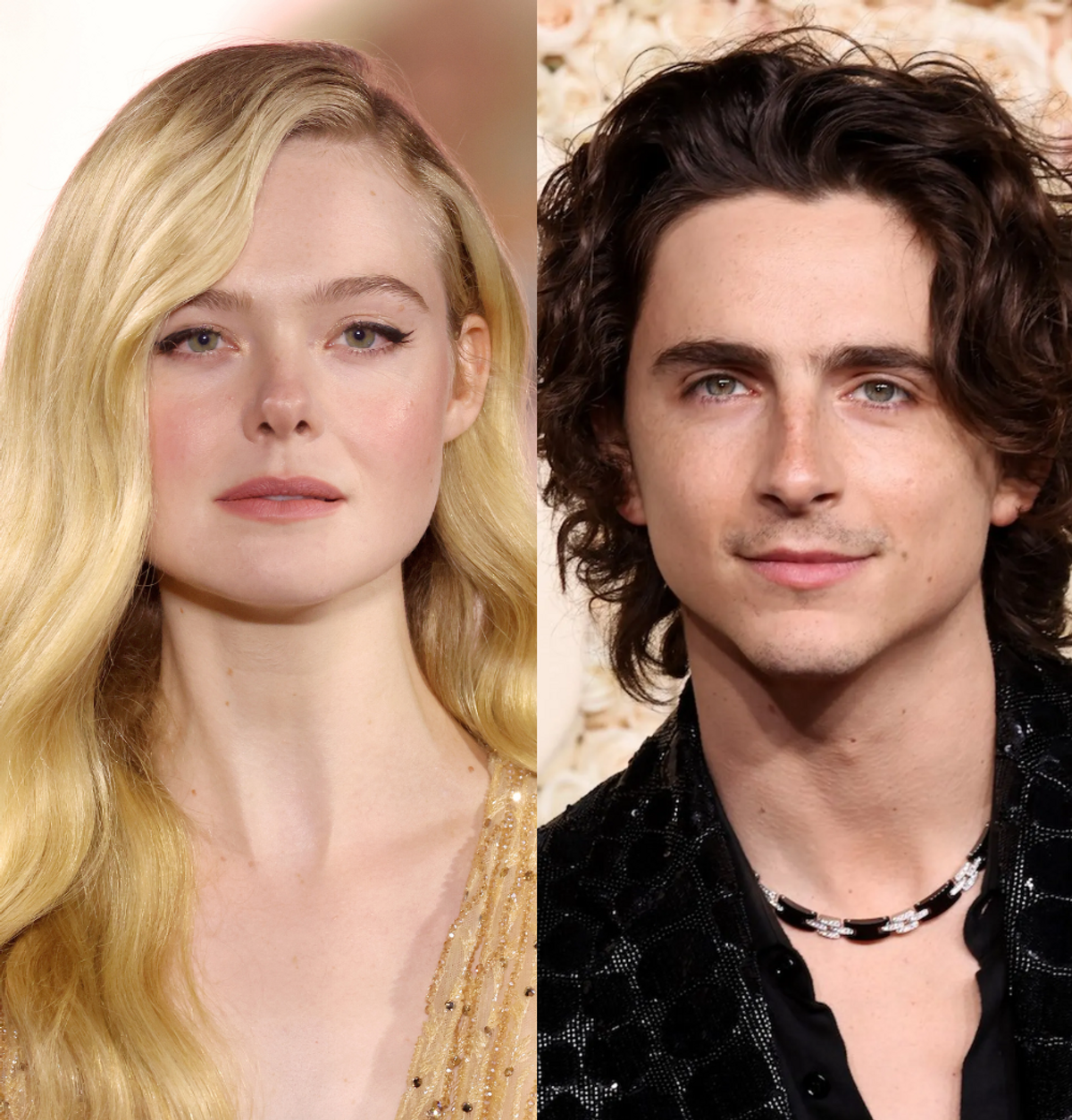 a complete unknown elle fanning timothee chalamet