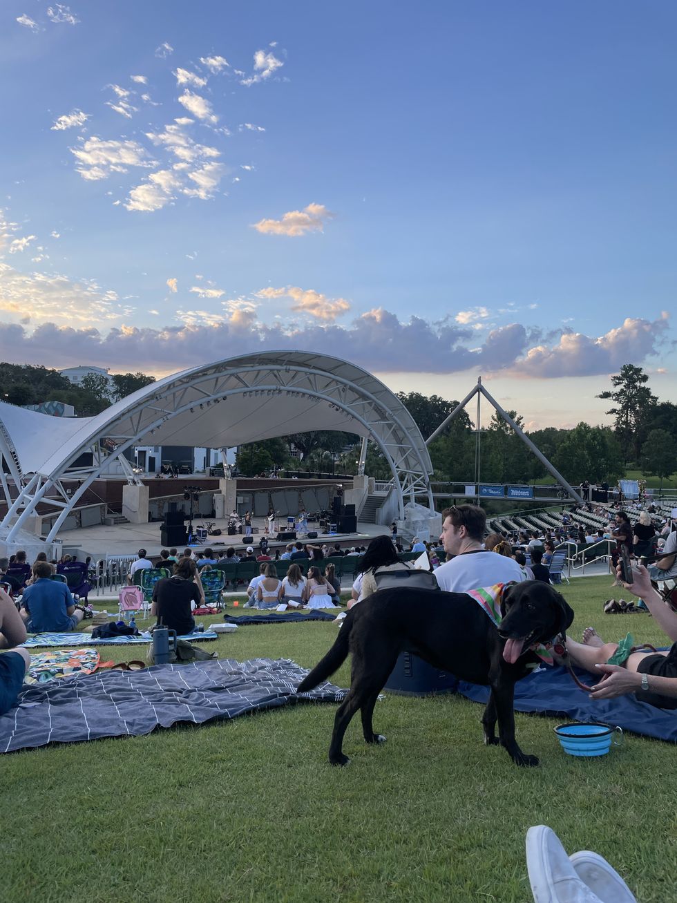 A Concert In The Park