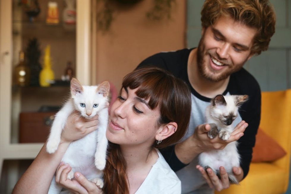 A couple plays with a pair of kittens in their living room