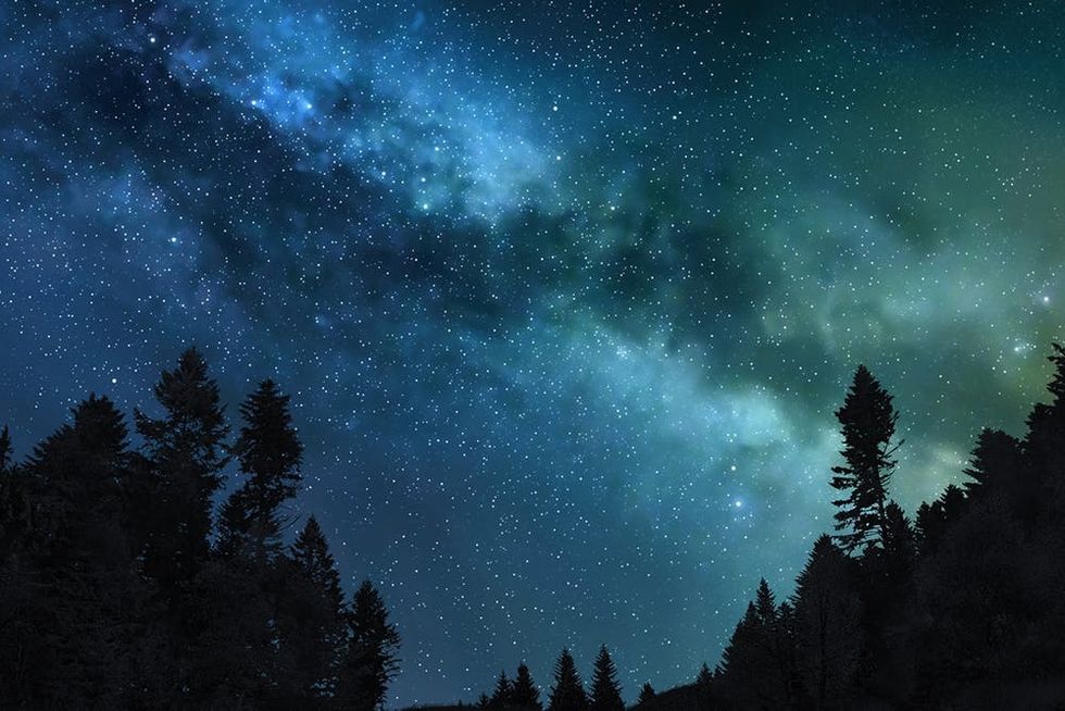 A picture of starry night sky over the woods