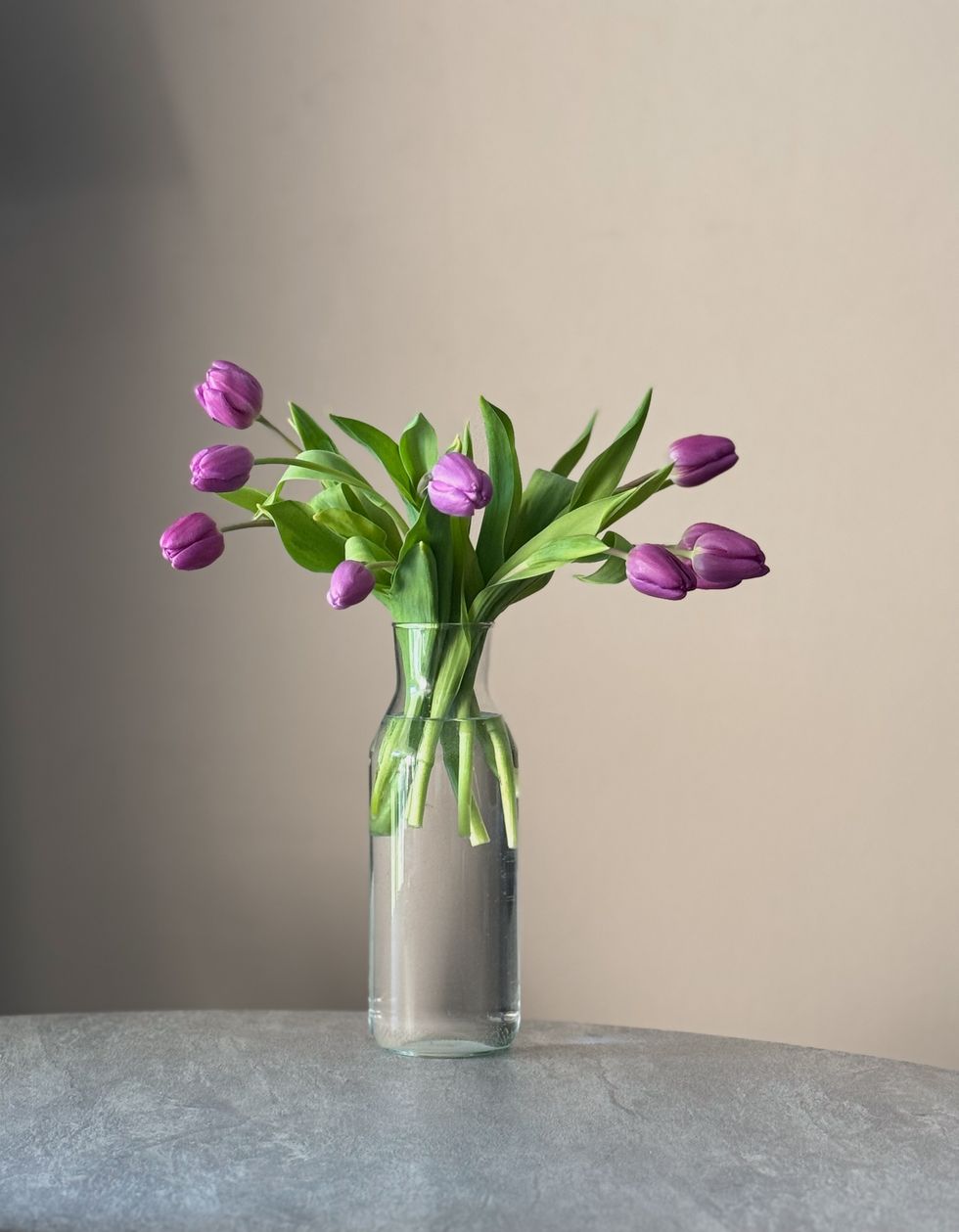 a vase filled with purple tulips