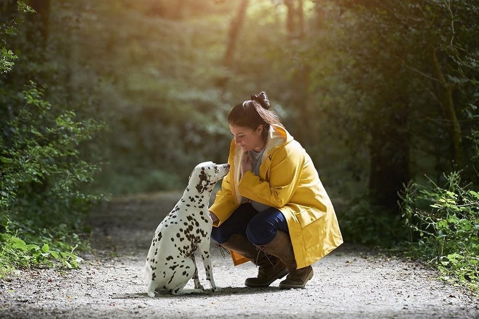 A woman and her Dalmatian dog out for a walk on an idyllic woodland path.