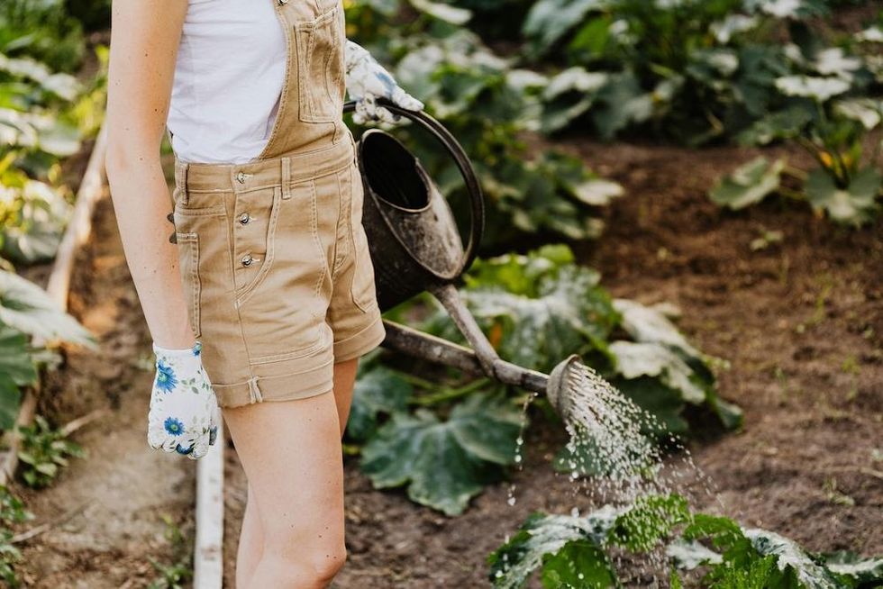 a woman watering a garden
