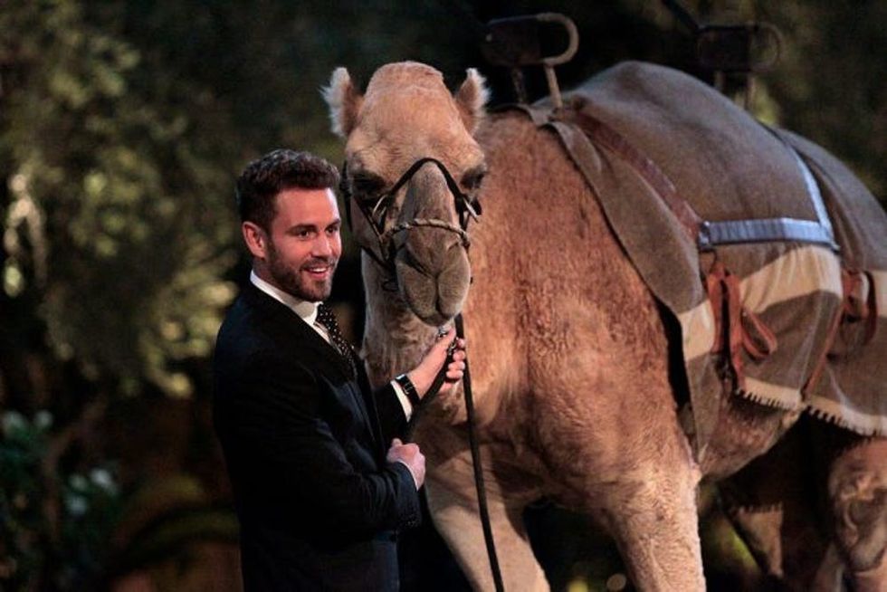 ABC's "The Bachelor" - Season 21