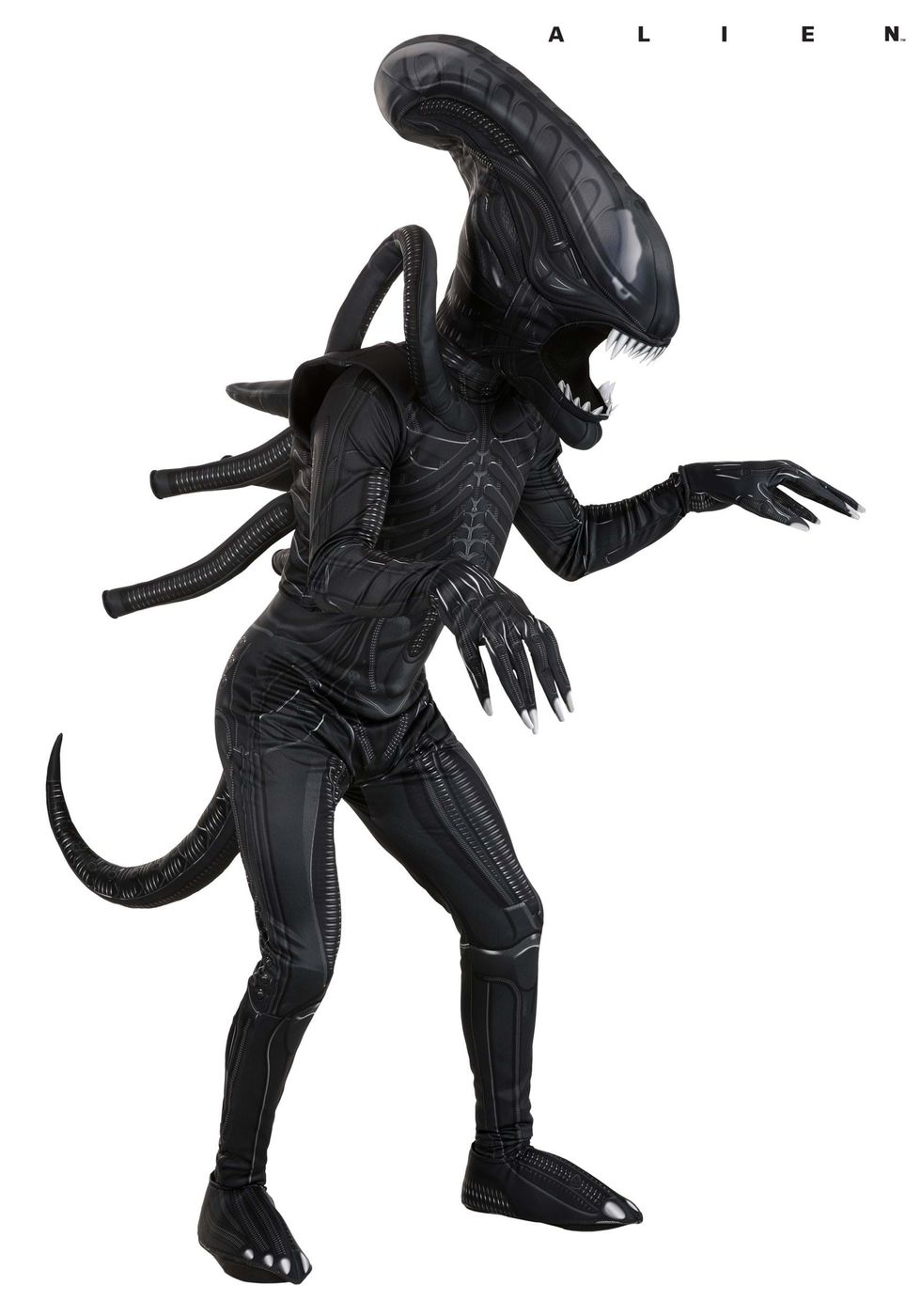 Adult Xenomorph from "Aliens" franchise