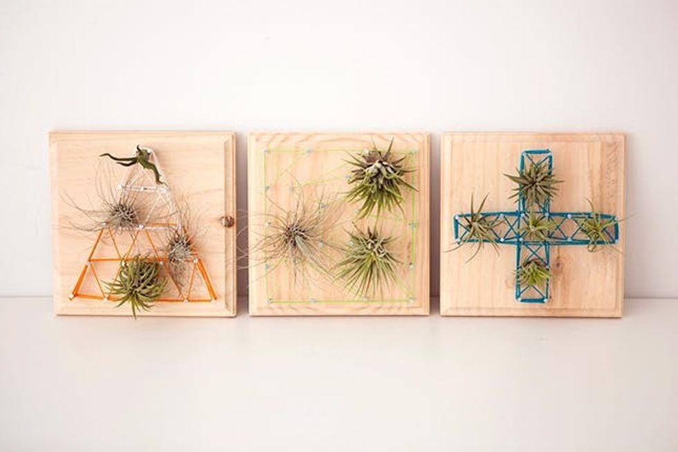 Air Plant String Art