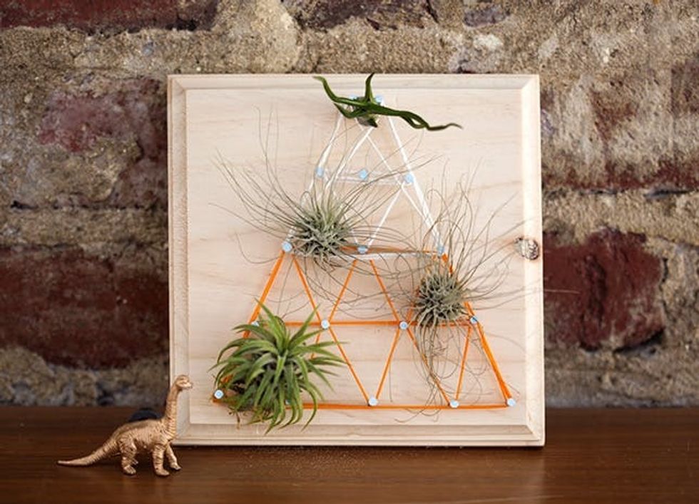 Air Plant String Art