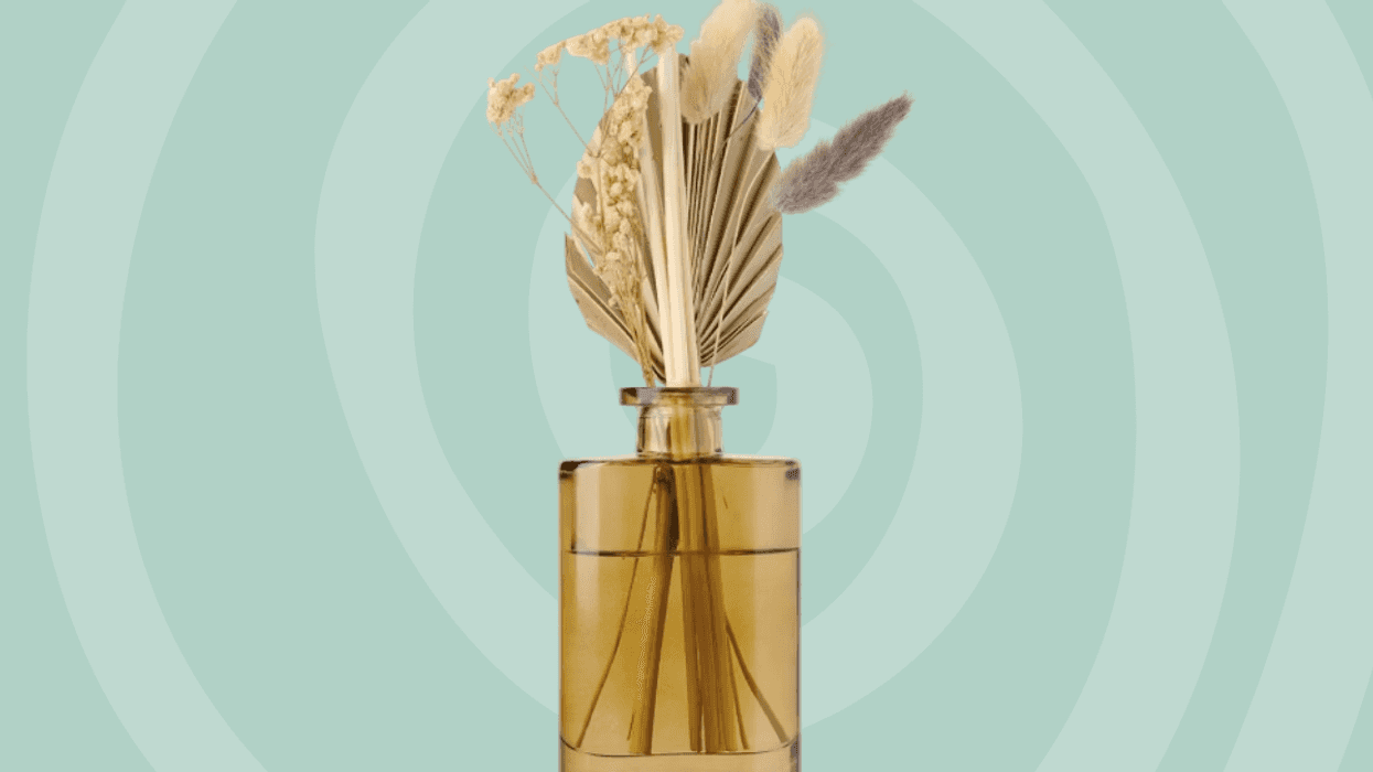 Aldi spring decor 2026