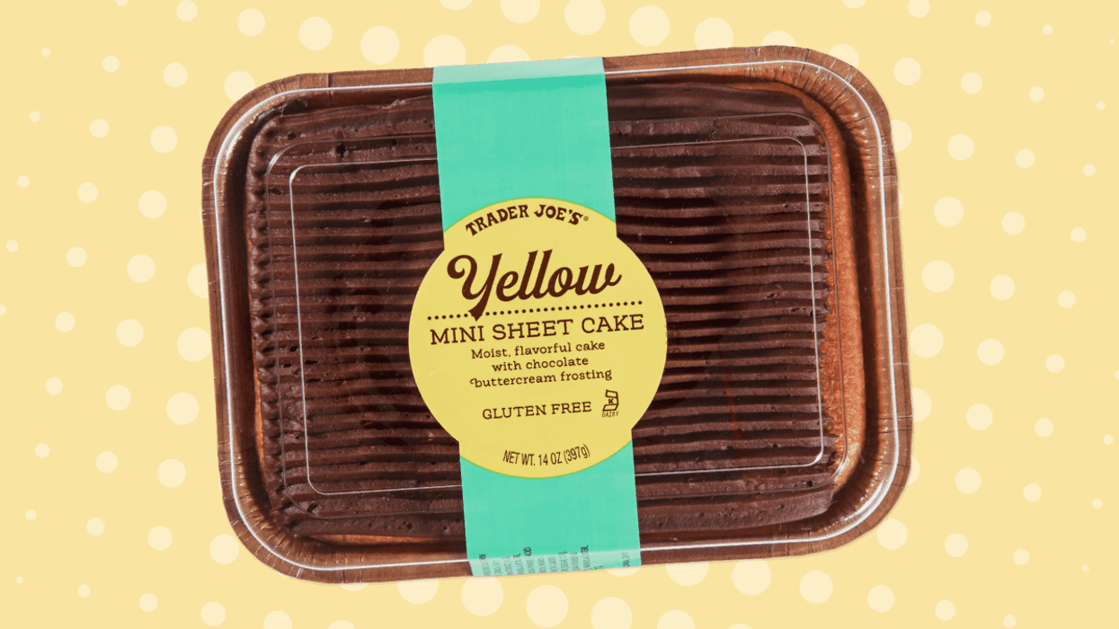 All 9 Trader Joe's Mini Sheet Cake flavors, ranked best to worst