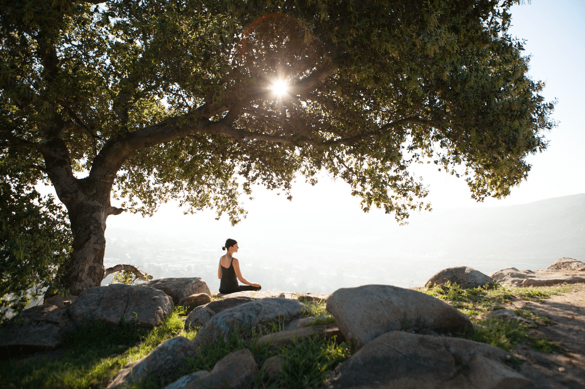 All-Inclusive Wellness Resort