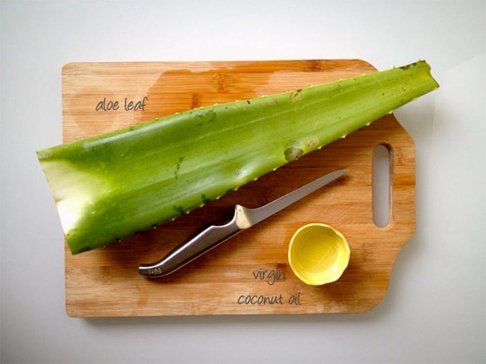 Aloe and Coconut All-Natural Hair Moisturizer