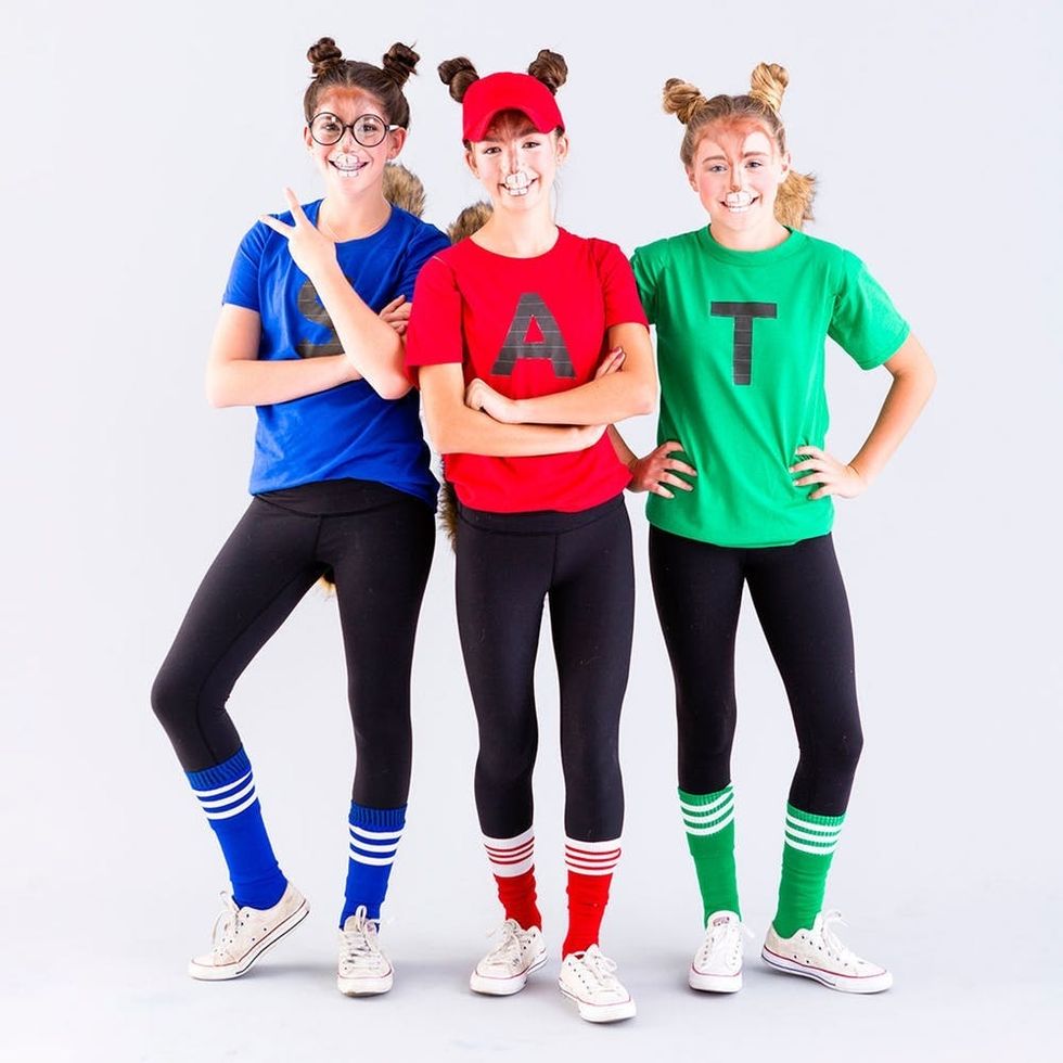 Alvin and the Chipmunks costume