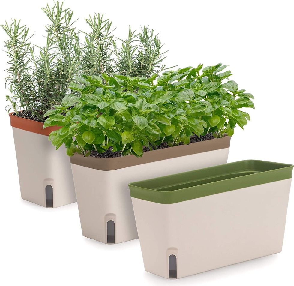 Amazing Creation Window Herb Planter for Kitchens 3 Pack