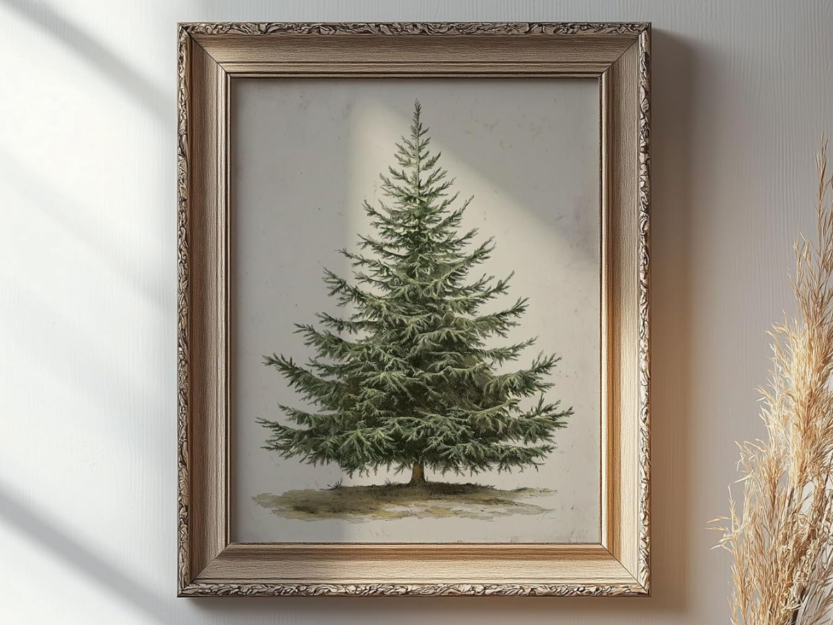 Amazon Holiday Decorations 2025