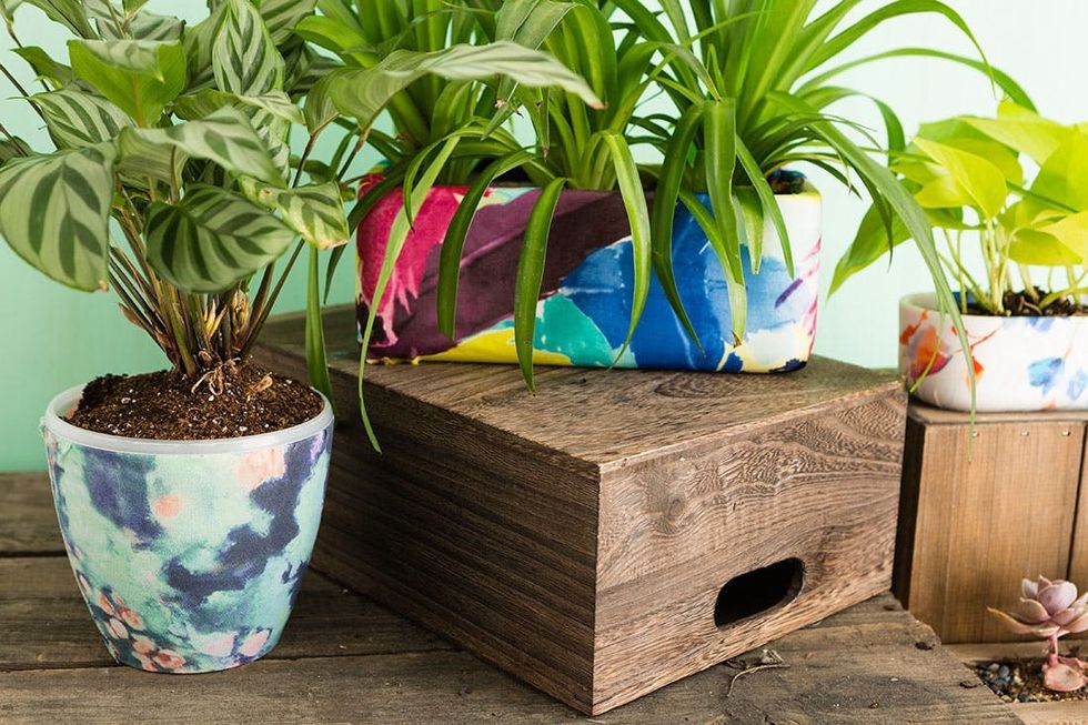 Anthro_Planter_Finals_004