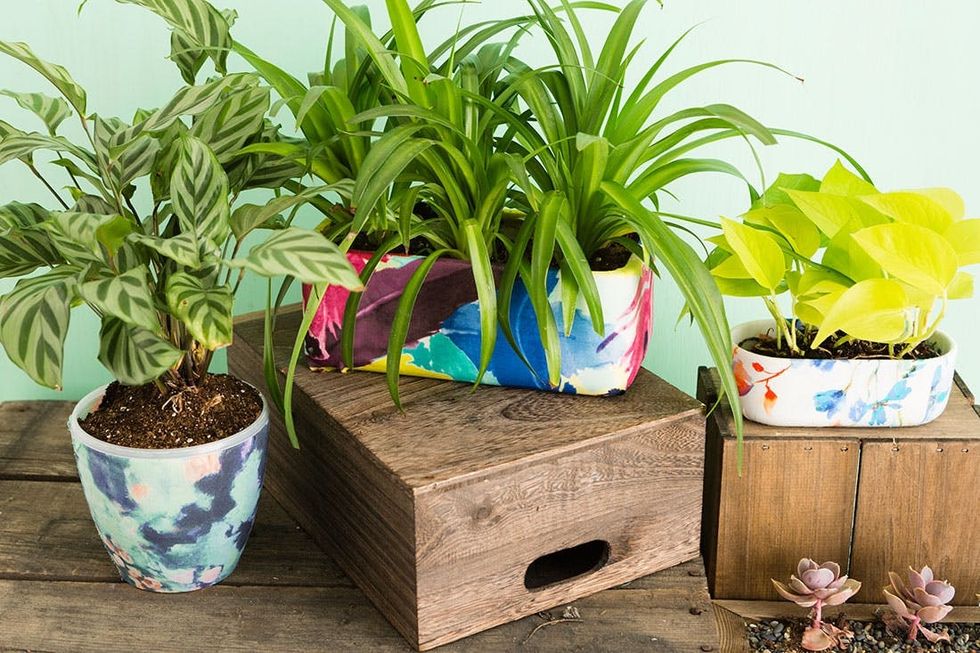 Anthro_Planter_Finals_005