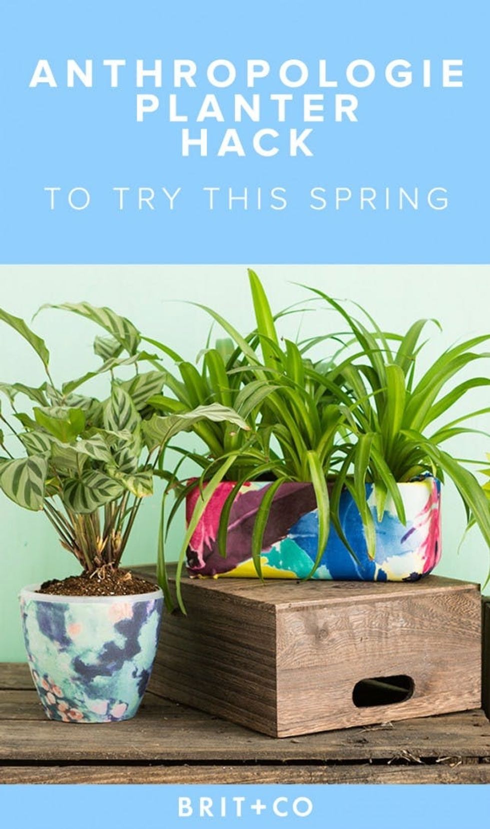 Anthro-Planter-Hack-