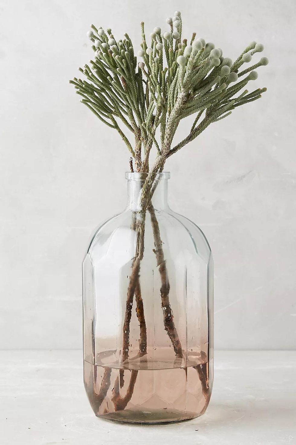 Anthropologie Gradient Vase
