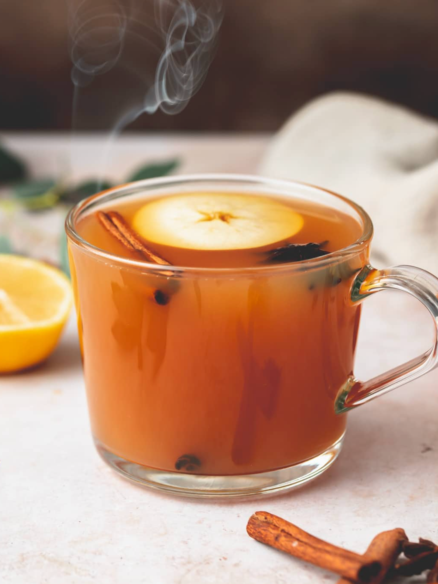 Apple Pie Moonshine Hot Toddy