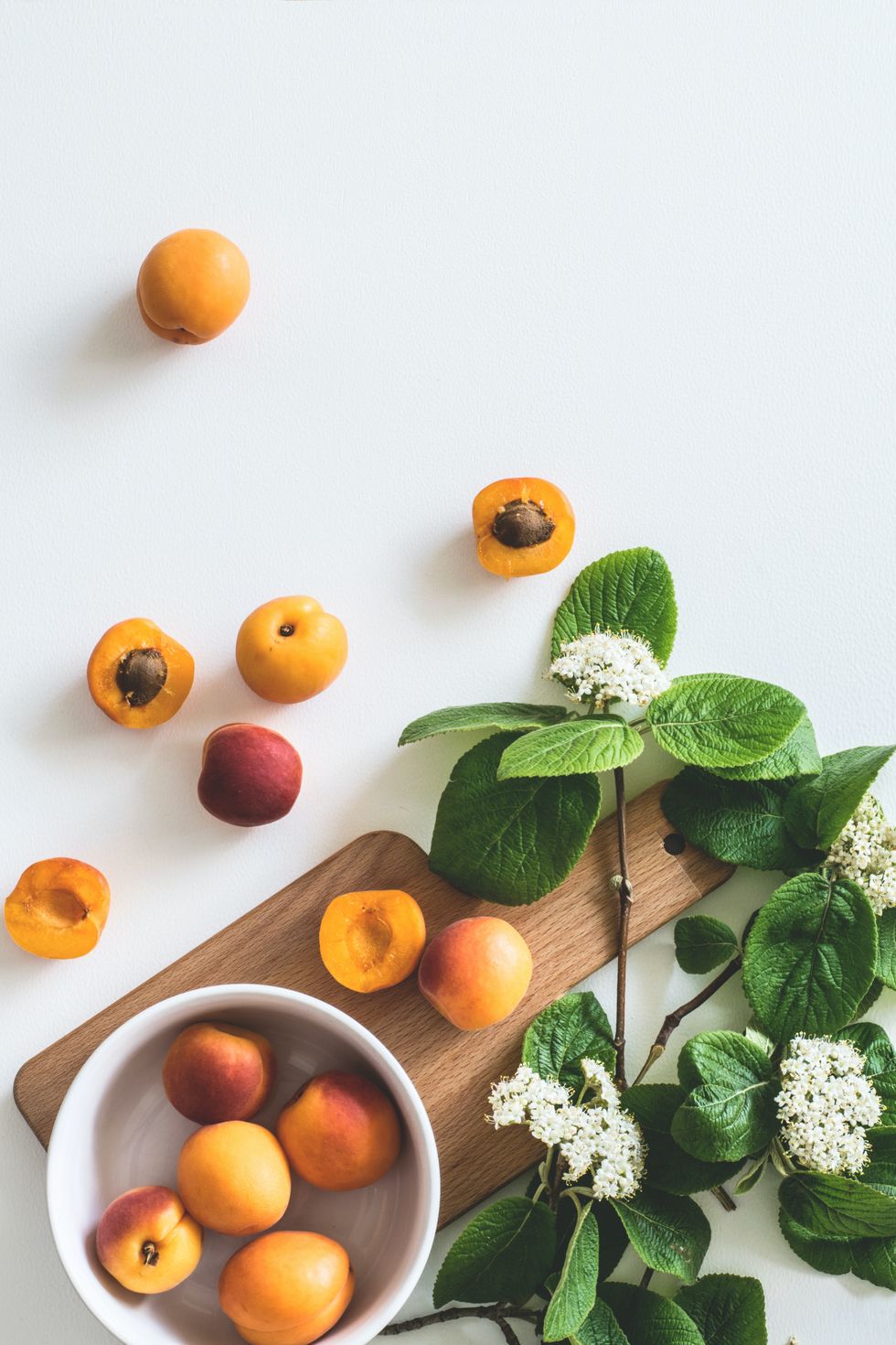 apricots on a cutting board with apricot tree flower cuttings