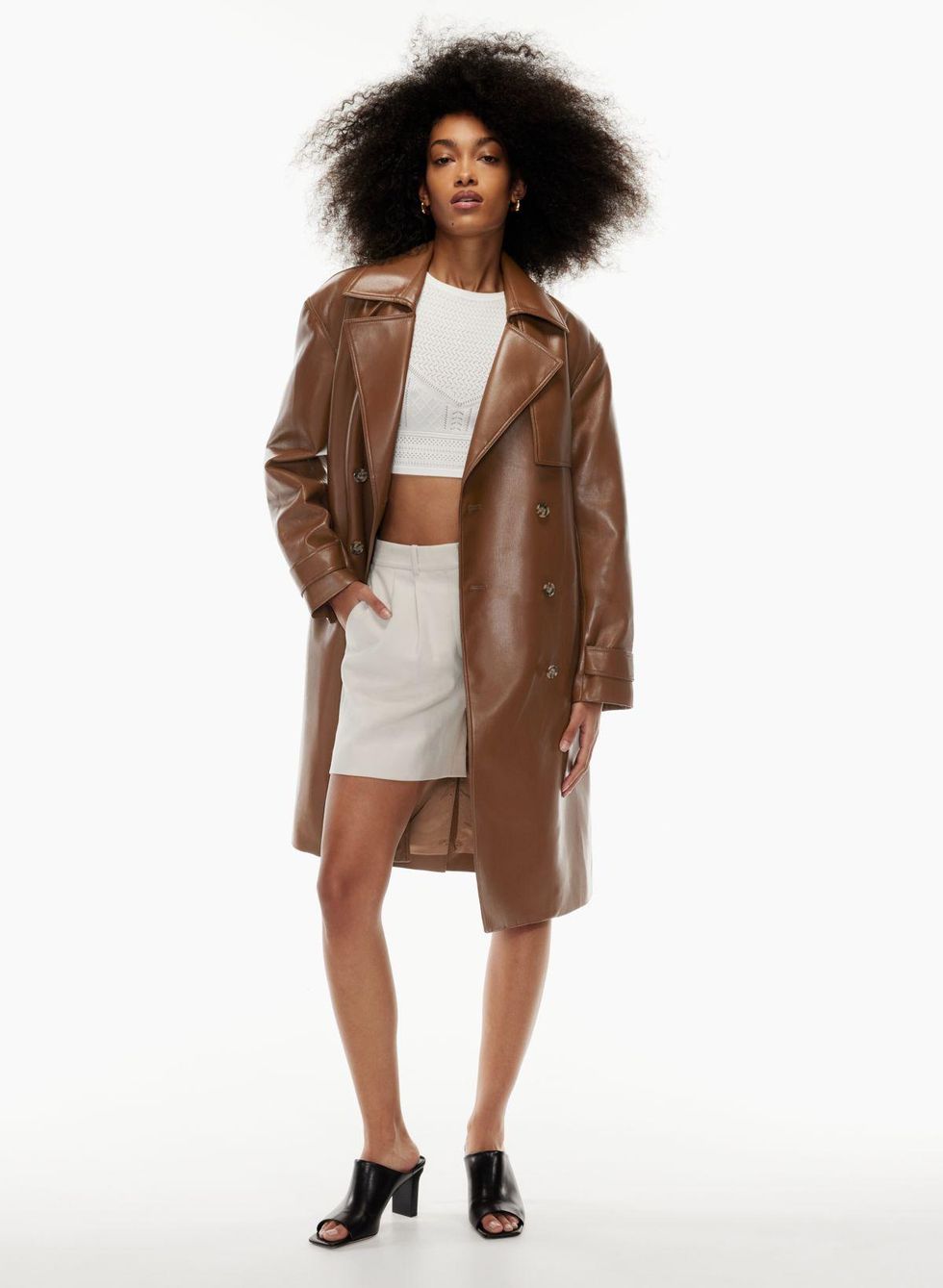 aritizia winter coat