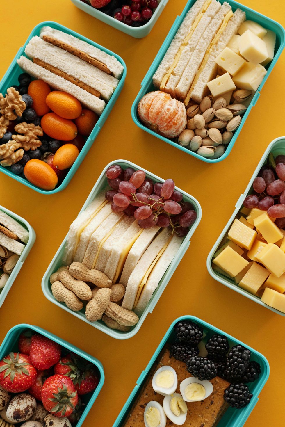 Assorted lunchboxes with sandwiches, fruits, nuts, and cheese on a yellow background.