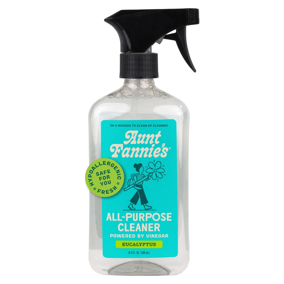 Aunt Fannie's All Purpose Household Cleaner
