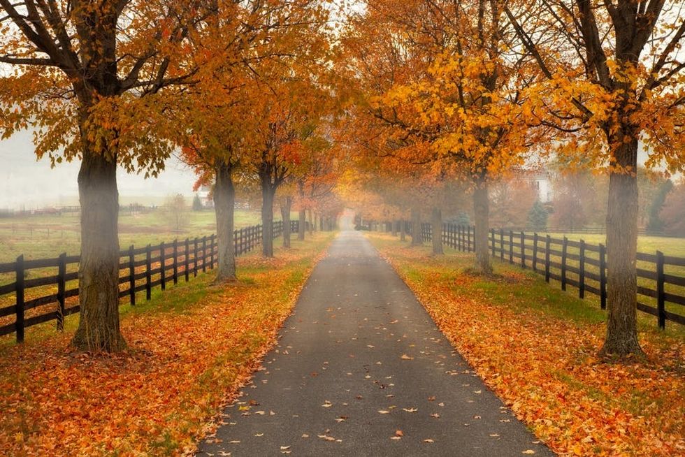 Autumn in Shenandoah Valley