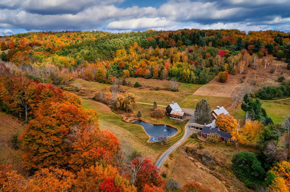Autumn landscape with colorful trees, houses, and a pond under a cloudy sky.