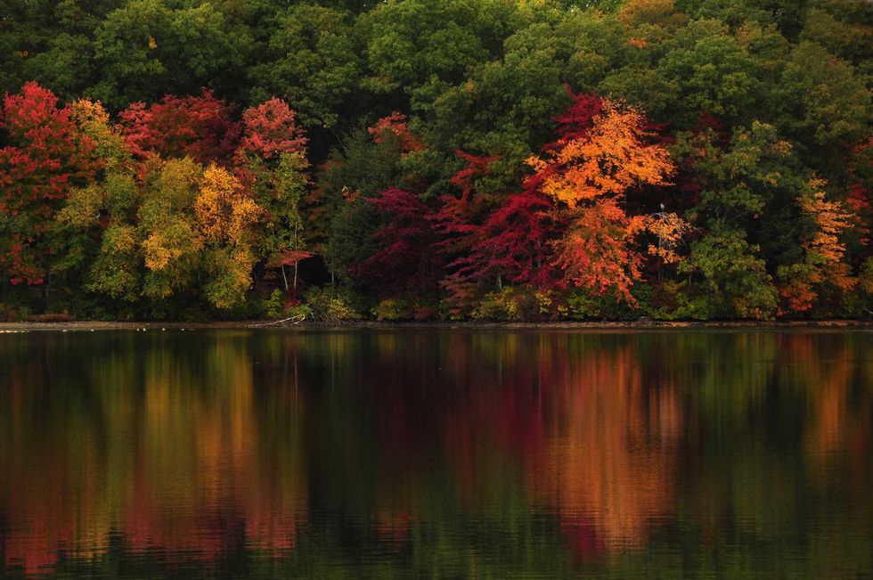 Autumn trees reflecting on a calm lake, displaying vibrant red, orange, and yellow foliage.