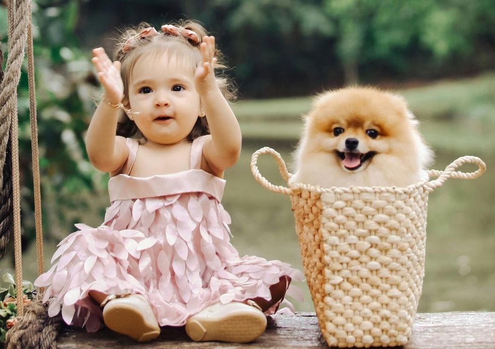 baby girl in a pink dress with a dog in a basket next to her