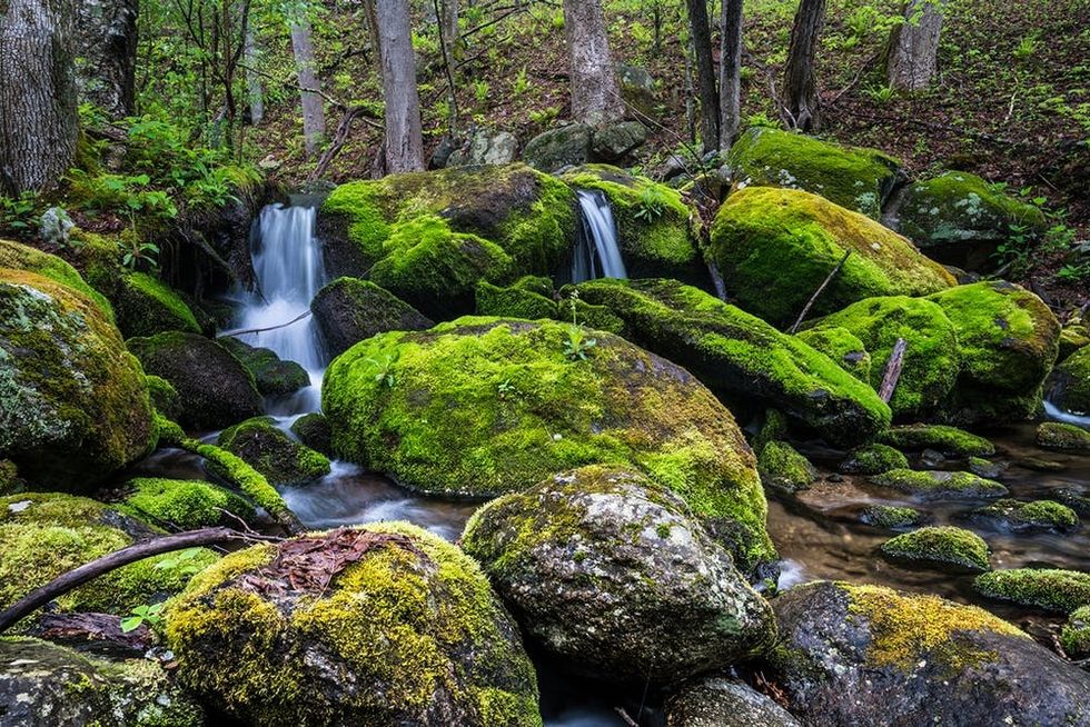 Bear Church Rock Trail along the Staunton River