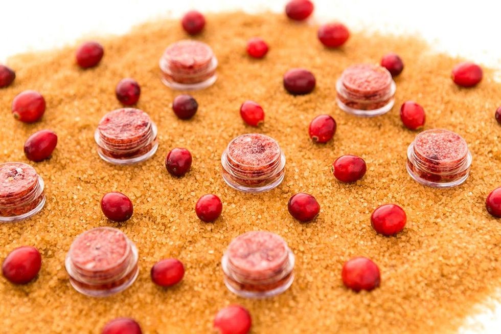 Beauty_Thanksgiving_DIY_051