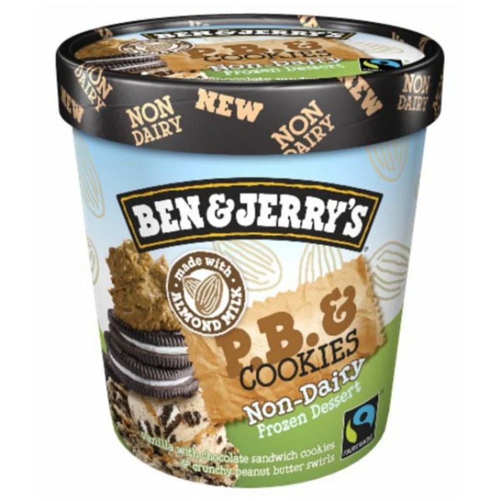 Ben & Jerry's Peanut Butter & Cookies Non-Dairy Frozen Dessert
