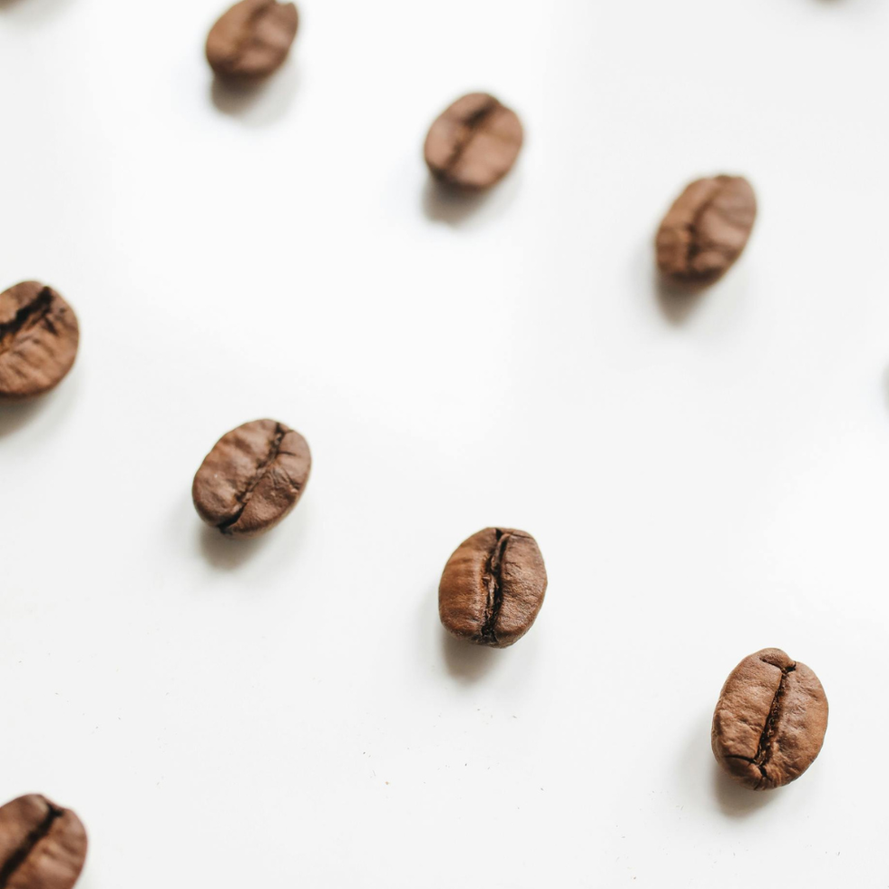 Best Coffee Beans