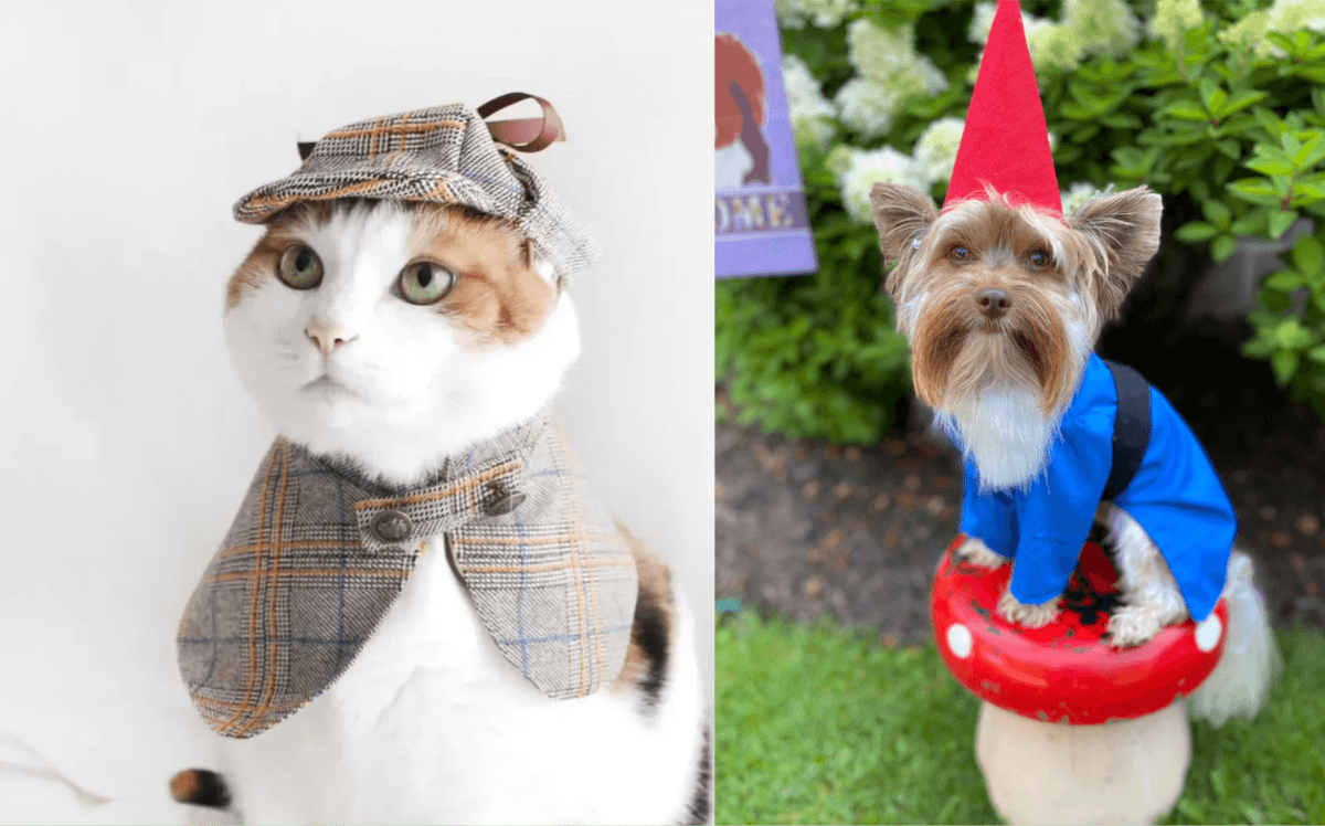 best pet halloween costumes