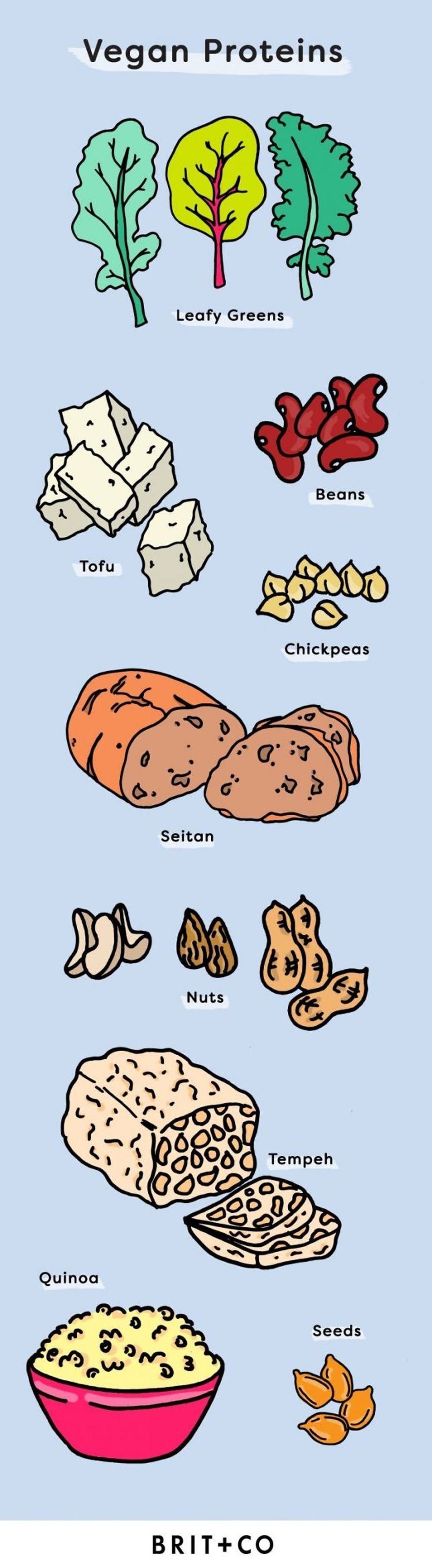 best vegan protein sources