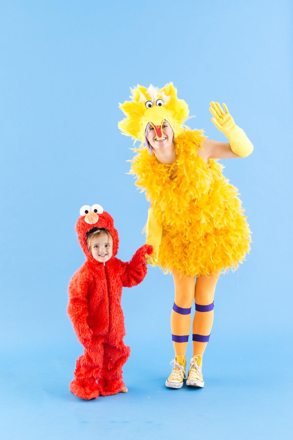 Big Bird and Elmo costume